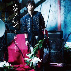 巜裸体舞会台湾DVD
