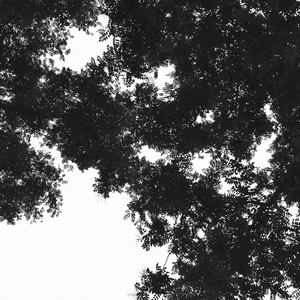 巜裸体舞会台湾DVD
