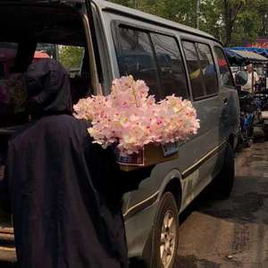 巜裸体舞会台湾DVD
