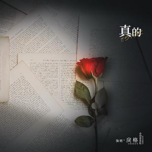 巜裸体舞会台湾DVD
