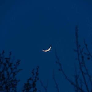 巜裸体舞会台湾DVD
