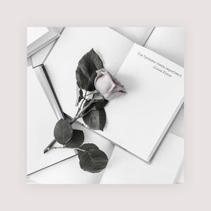 巜裸体舞会台湾DVD
